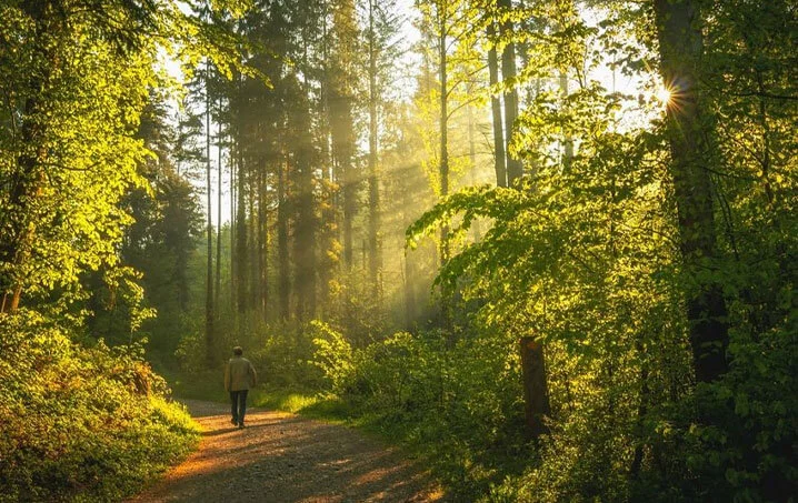 Rustomjee Seasons Forest Walk